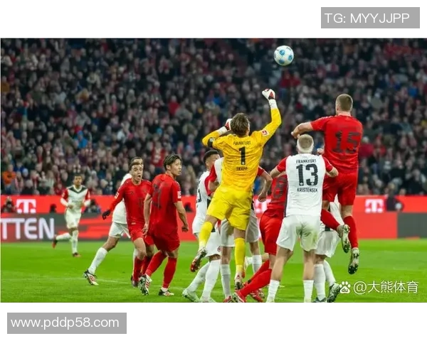 足球球星官方网站最新动态与个人信息一站式了解平台